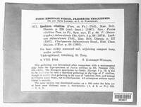 Image Associated With the Occurence